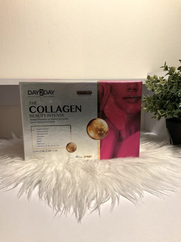 Day2Day The Collagen Beauty 30x12gr